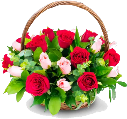 Congratulation Flower Png Transparent Images All Happy Birthday Dearest Friend Latest Rose Flower Png