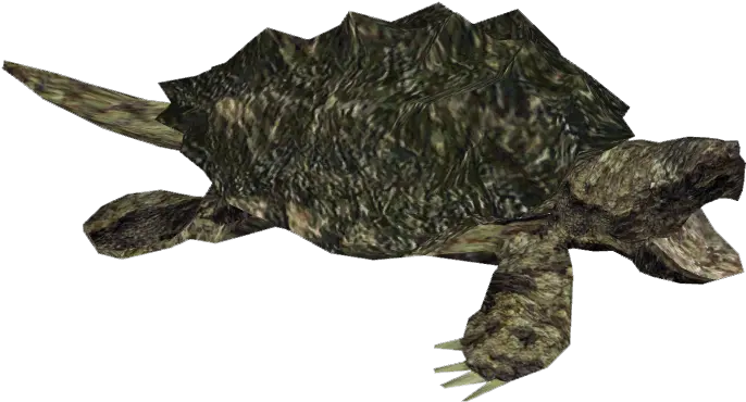 Snapping Turtle Png 2 Image Alligator Snapping Turtle Png Alligator Transparent Background