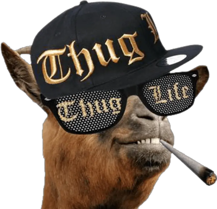 Thug Life Llama Transparent Png Thug Life Emoji Png Snoop Dogg Png