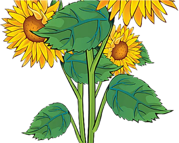 Plant Clipart Summer Sun Flowers Clip Art Png Download Summer Clip Art Borders Free Flowers Clip Art Png