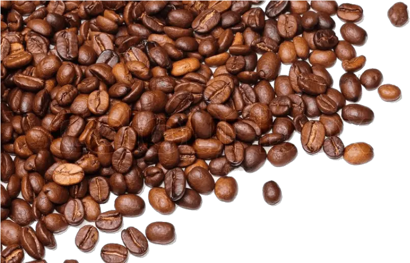 Coffee Beans Png Images Transparent Coffee Bean Transparent Background Coffee Beans Transparent png