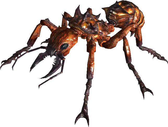 D20 Transparent Png Image Fallout 3 Giant Ant D20 Transparent Background