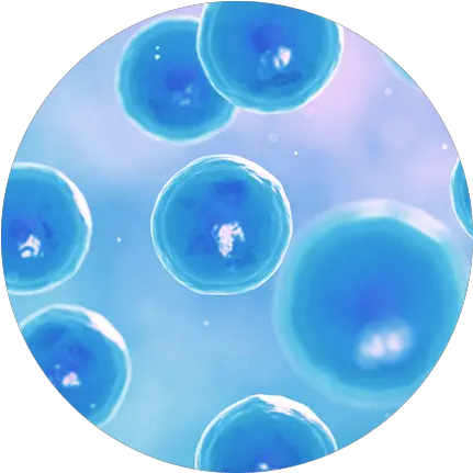 Stem Cell 101 Consumeru0027s Guide To Regenerative Therapy Transparent Stem Cells Png Cells Png