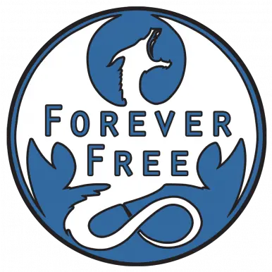 Forever Free Skyrim Mod Forever Free Png Skyrim Dragon Logo