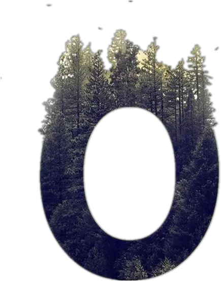Fullscreen Page Wixtest Trees Growing Out Of Letters Png Letter O Png