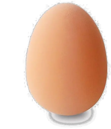 Download Brown Egg Png Background Image Rubber Egg Full Brown Egg Transparent Background Egg Transparent Background