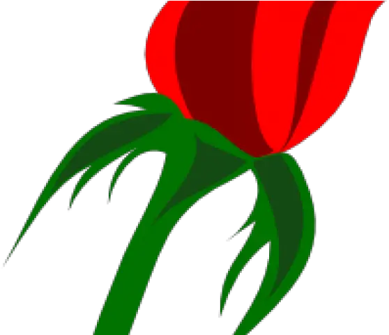 Red Rose Clipart Leave Transparent Rose Vector Png Rose Vector Png Rose Vector Png