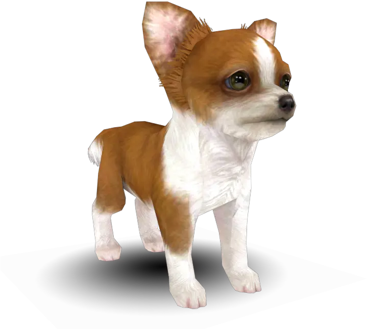 3ds Nintendogs Cats Chihuahua The Models Resource Nintendogs Cats Chihuahua Png Chihuahua Png