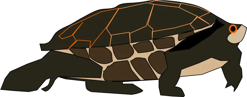 Green Sea Turtle Photo Background Gopher Tortoise Png Turtle Transparent Background