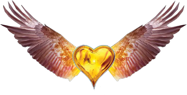 Heart With Wings Png Black Heart With Wings 5502406 Transparent Black Heart With Wings Heart With Wings Icon png