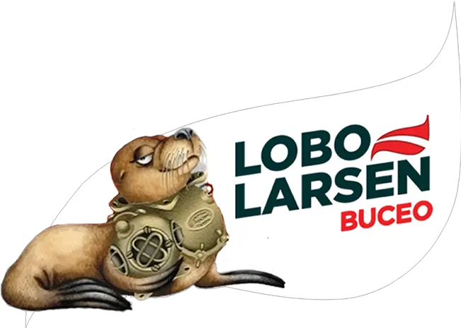 Lobo Larsen Buceo Puerto Madryn Patagonia Argentina Language Png Sea Lion Icon