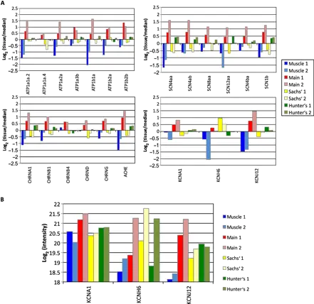 A Tail Of Two Voltages Proteomic Comparison The Three Vertical Png Transparent Ribbon Eel