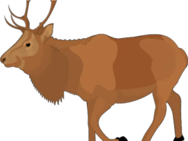 Free Moose Clipart Animated Elk Transparent Cartoon Elk Clipart Png Moose Transparent
