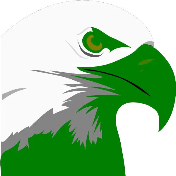 Bald Eagle Head Png 722x720 Png Clipart Download Bald Eagle Clipart Black And White Bald Head Png