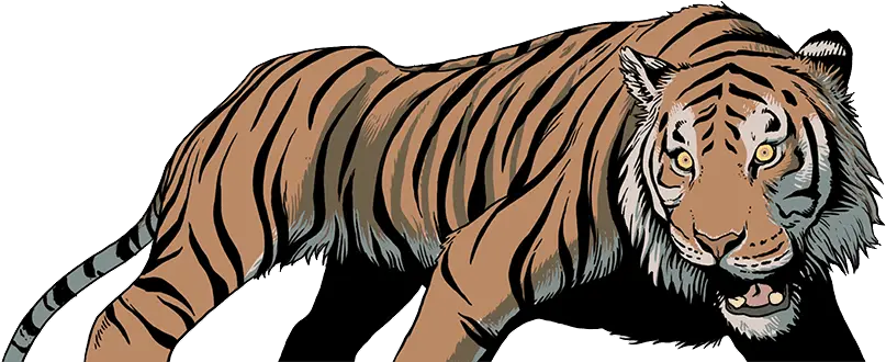 Upornyu0027s Story Magazine Articles Wwf Wild Tiger Cartoon Png Tiger Transparent Background