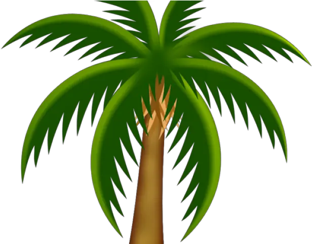 Palm Tree Clipart Pom Dates Tree Vector Png Drawings Of Palm Trees Colored Palm Tree Vector Png