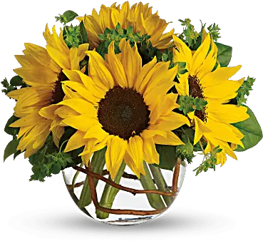 Sunny Sunflowers U2014 Blessings Floral Design Png Transparent Background