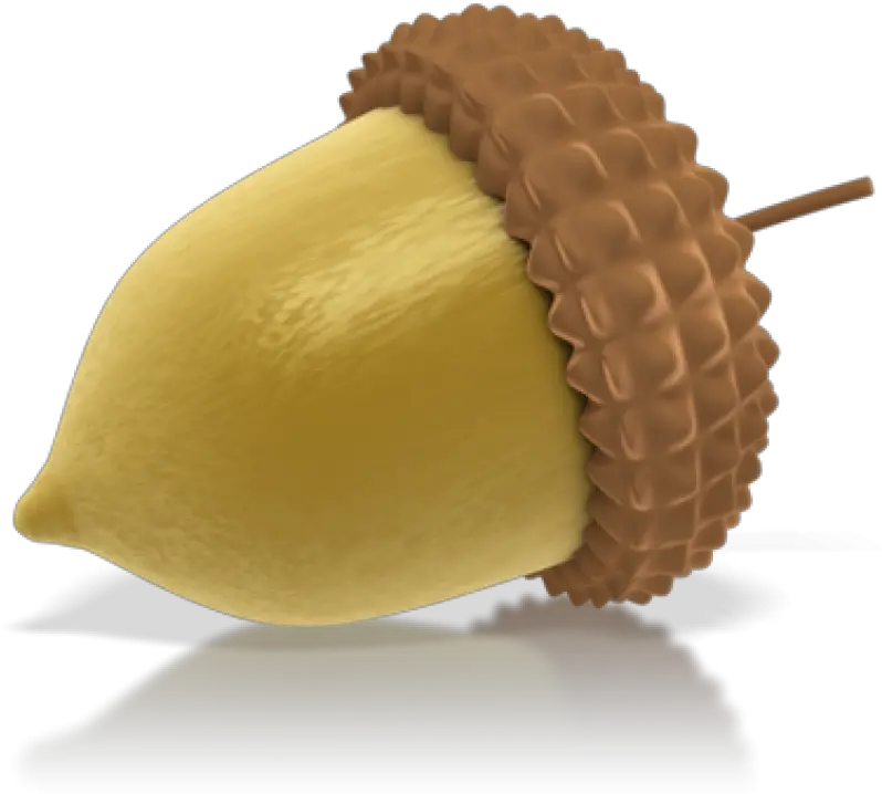 Acorn Png Transparent Background Nut Without Background Acorn Transparent Background