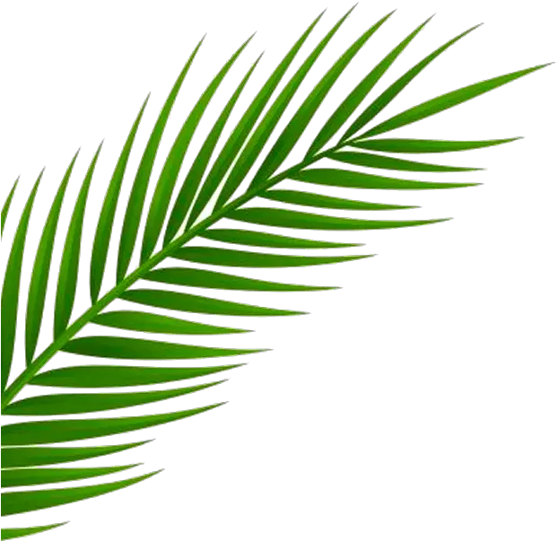 Neon Palm Tree Png Inspired By A Recent Trip To Miami By Transparent Transparent Background Leaf Png Palm Tree Leaves Png