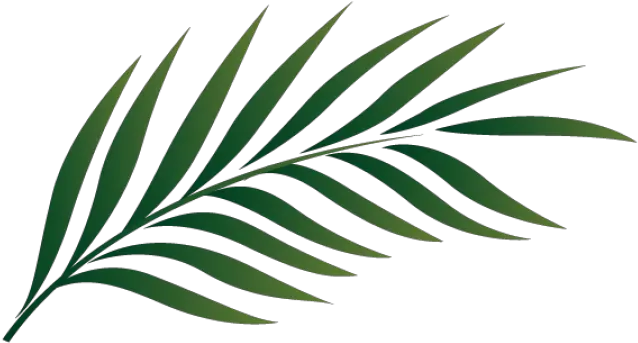 Download Palm Sunday Leaf Kid Png Images Clipart Free Palm Branch Clip Art Kid Png