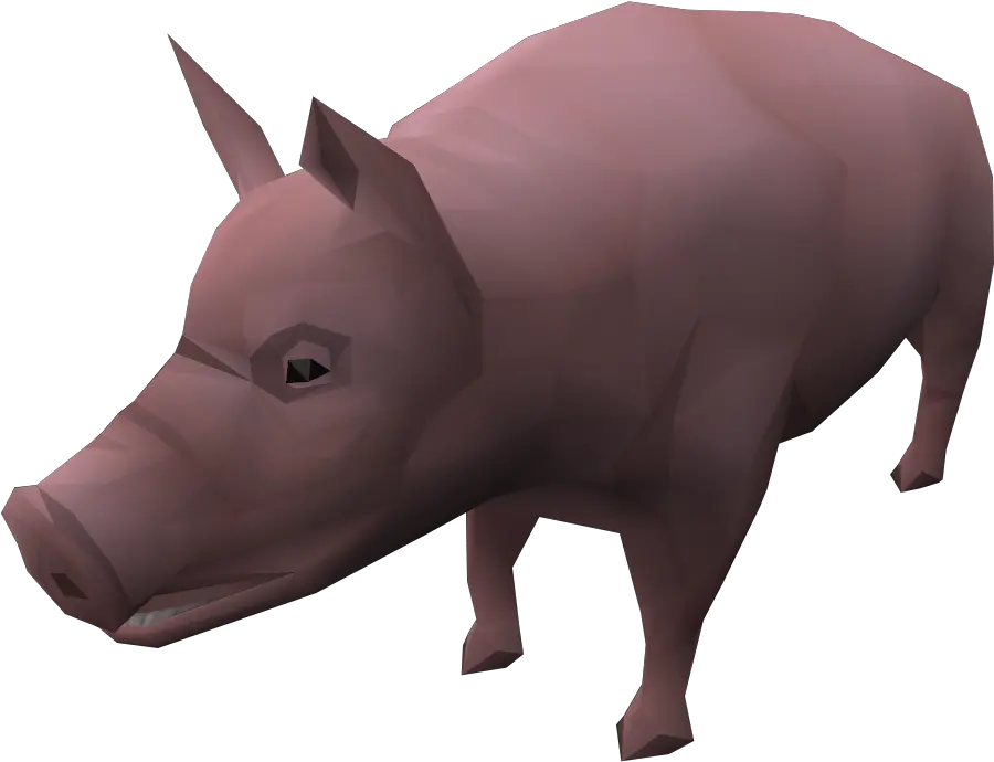 Pig The Runescape Wiki Domestic Pig Png Pig Png