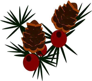 70 Free Pine Cone U0026 Christmas Illustrations Ponderosa Pine Png Pine Cone Icon
