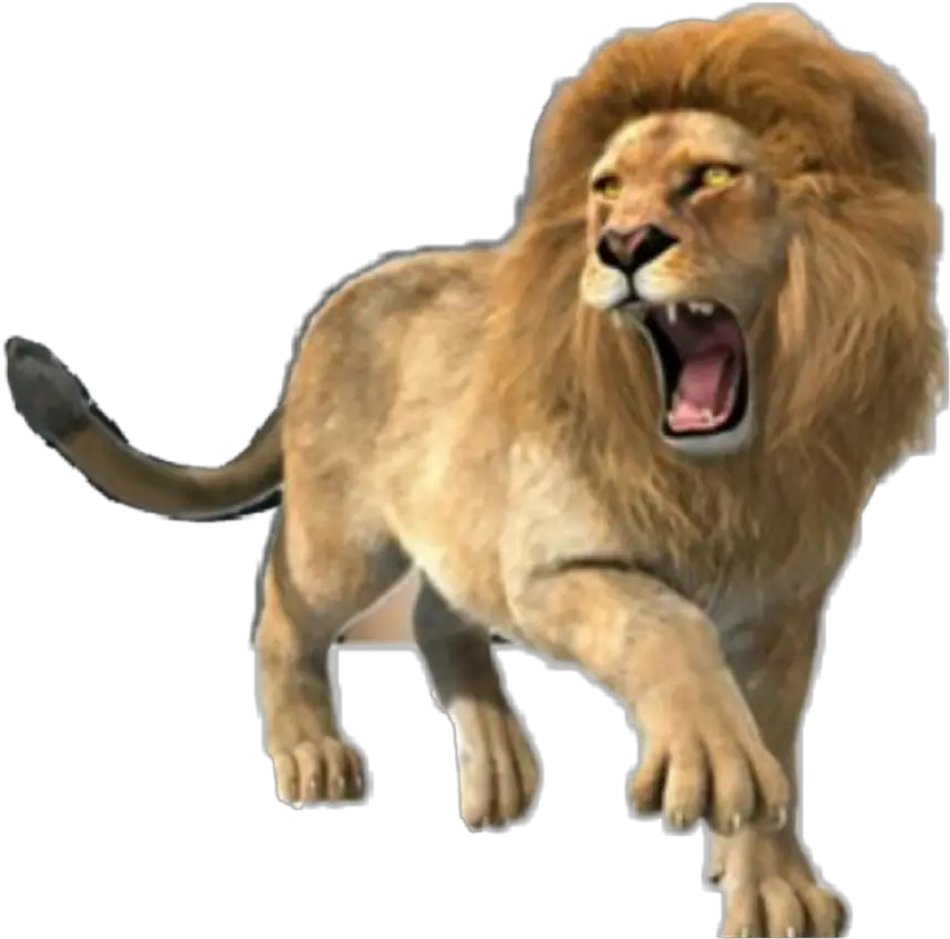 Download Lion Roar Roaringlion Animals Lion Roaring Png Lion Roar Png