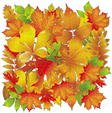 Download Kaz Creations Autumn Fall Leaves Leafs Background Png