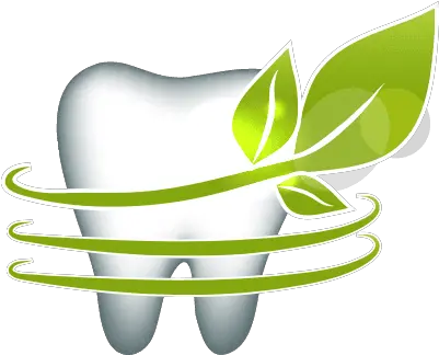 Olive Branch Dental Care Single Teeth Image Png Olive Branch Icon