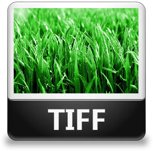 Tiff File Icon Lozengue Filetype Icons Softiconscom Ecosystem Producer Png Open File Icon