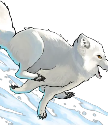 Arctic Fox Illustration Png Arctic Fox Png