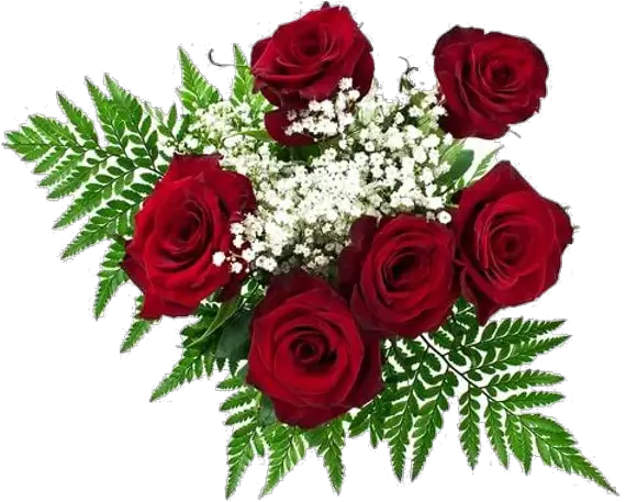 Flower Orders Center Stageacademy Red Roses For Day Png Roses Png