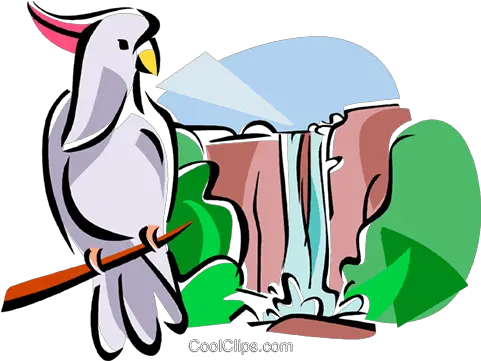 Australian Kakadu National Park Royalty Free Vector Clip Art Clipart Png Park Png