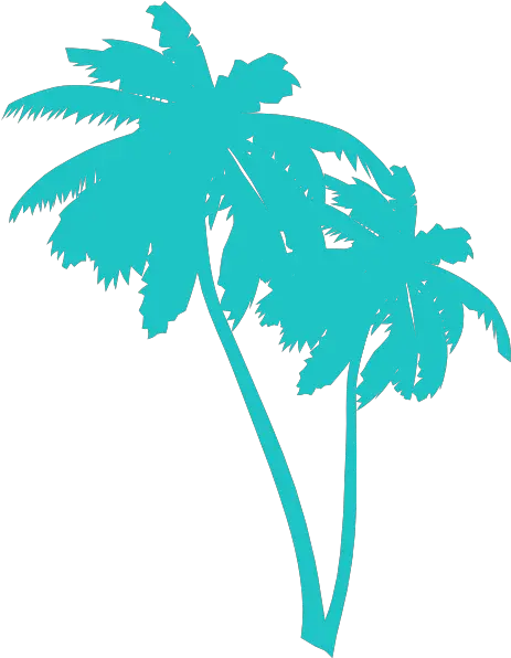 Download Free Png Palm Trees Clip Art Vector Clip Vector Palm Tree Png Palm Tree Clip Art Png