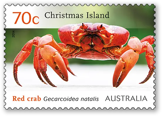Christmas Island Red Crab Migration Australia Post Crabs In Australia Christmas Islands Png Crab Transparent