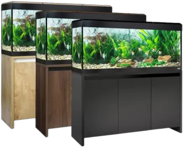 Transparent Png And Vectors For Free Aquarium Fluval Roma 240 Fish Tank Png