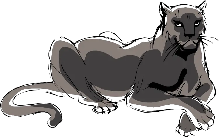 Jaguar Clipart Panther Black Panther Laying Down Drawing Png Panther Png