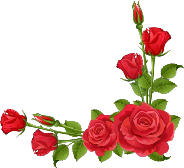 Rose Floral Design Garden Roses Flower Asma Ul Husna Ka Wazifa In Urdu Png Rose Border Transparent