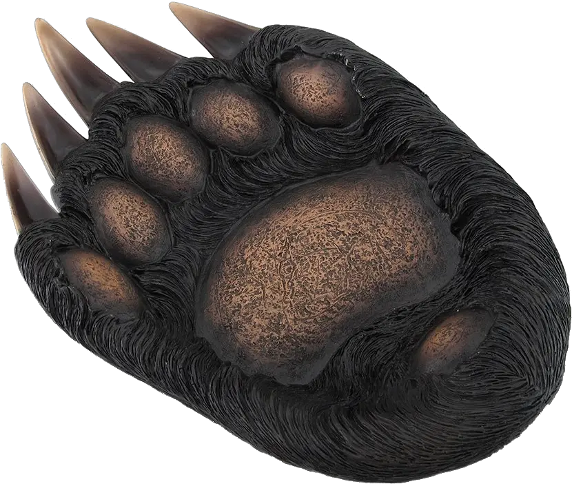 Large Bear Paw Dish Platter Paw Png Bear Paw Png