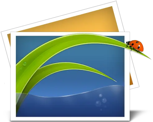 Photo Png Icon Windows 7 Library Icons Photos Icon Png