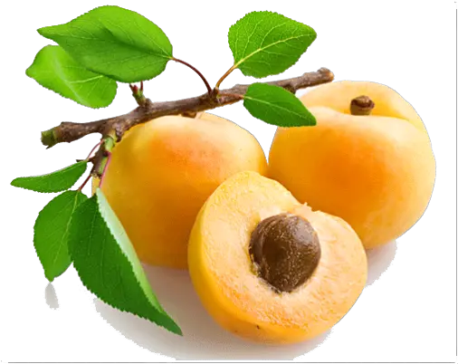 Apricot Open Png Image Arts Peach Kernel Carrier Oil Fruit Tree Png