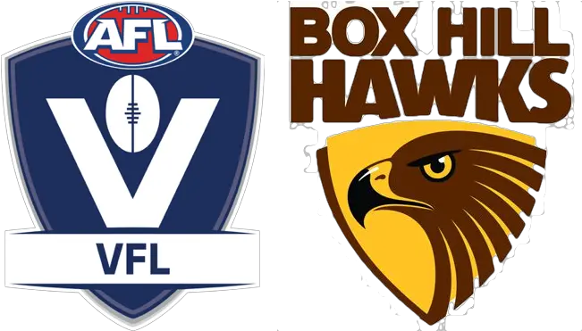 Logo Language Png Hawks Logo Png