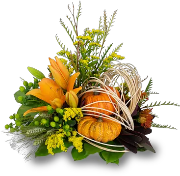 Abstract Cornucopia In Meridian Ms Natural Foods Png Cornucopia Png