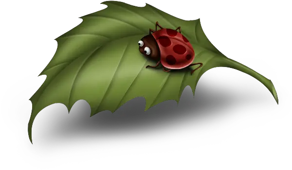 Free Pictures Leaf Download Png Images Lady Bug On Leaf Cartoon Ladybug Icon Leaf