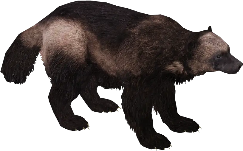 Download Free Png Hd Wolverine Animal Transparent Png Wolverine Animal Png Wolverine Transparent