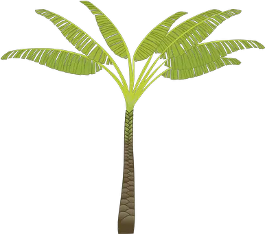 Over 60 Free Palm Leaves Vectors Pixabay Pixabay Palm Tree Clip Art Png Palm Leaf Transparent