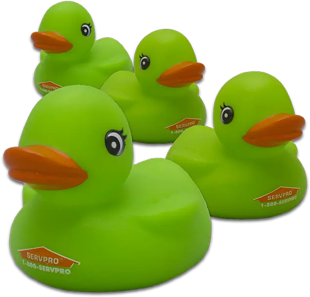 Rubber Duck Image Green Rubber Ducks Transparent Cartoon Transparent Rubber Duck Green Png Rubber Duck Transparent Background