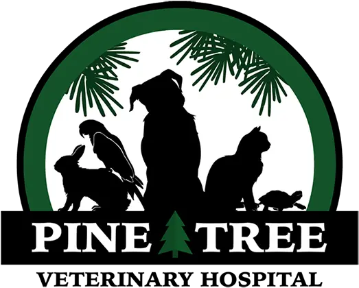 Pine Tree Veterinary Hospital Pllc Better Business Bureau Silhouette Png Pine Tree Logo