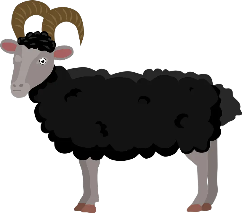 Sheep Lamb Ram Free Vector Graphic On Pixabay Sheep Png Lamb Png