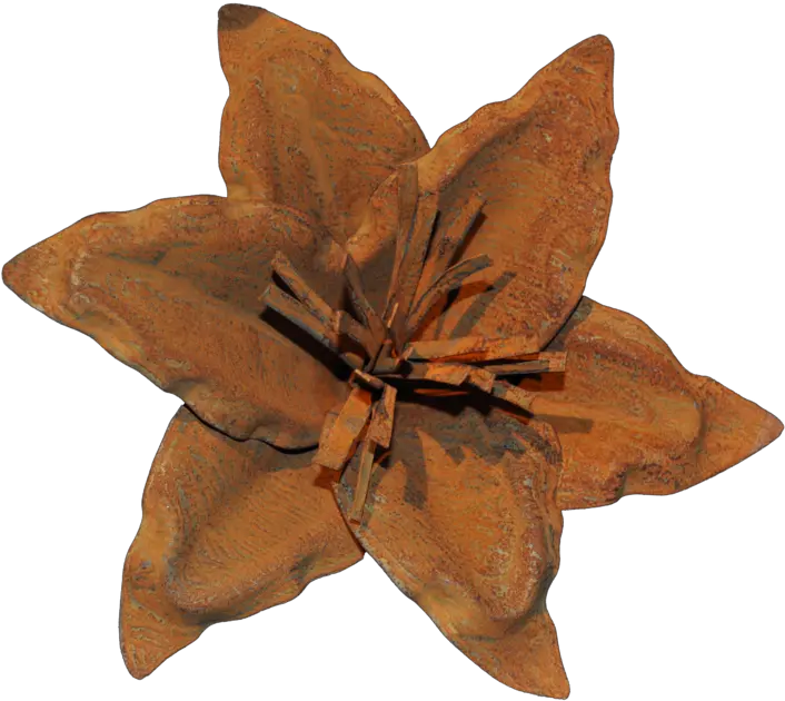 Rust Lily Flower U2013 Watson And Co Clematis Png Lily Flower Png